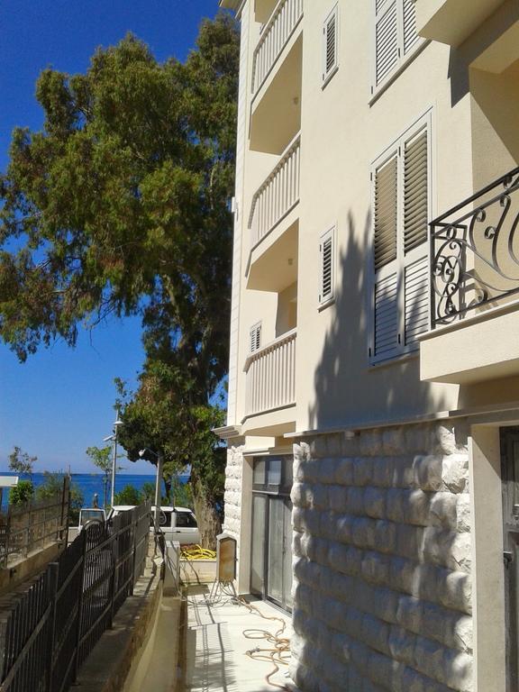 Apartments Dangubic Petrovac Bagian luar foto